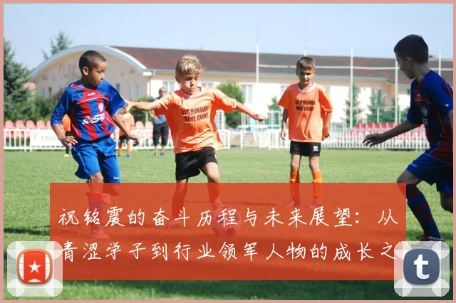 祝铭震的奋斗历程与未来展望：从青涩学子到行业领军人物的成长之路
