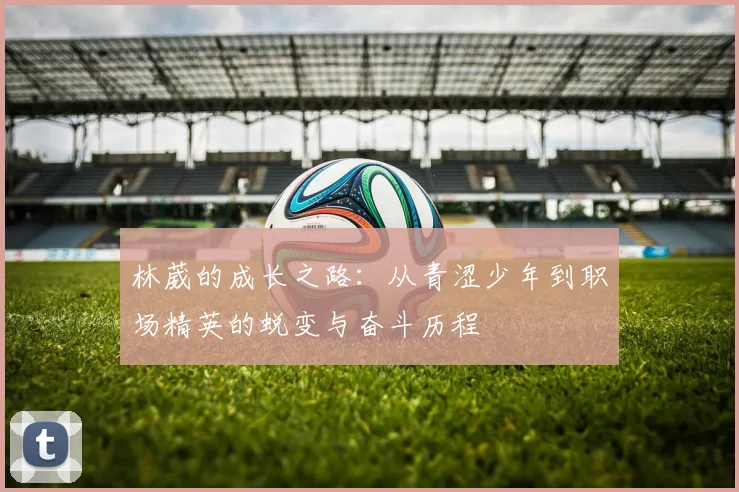 林葳的成长之路：从青涩少年到职场精英的蜕变与奋斗历程