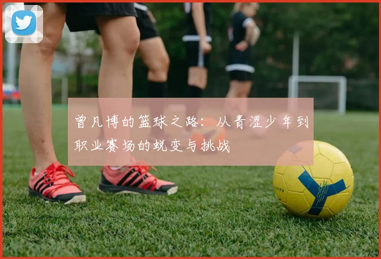 曾凡博的篮球之路：从青涩少年到职业赛场的蜕变与挑战