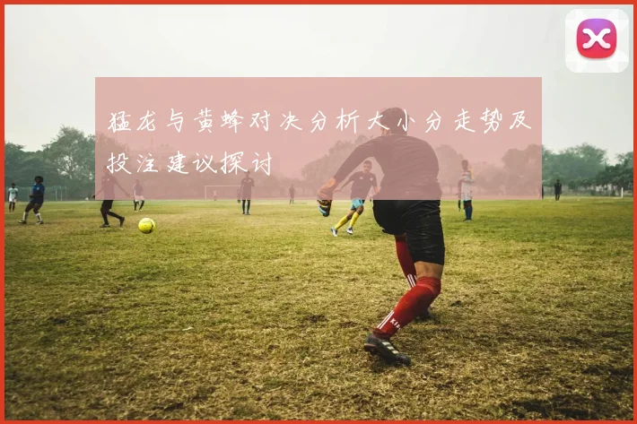猛龙与黄蜂对决分析大小分走势及投注建议探讨
