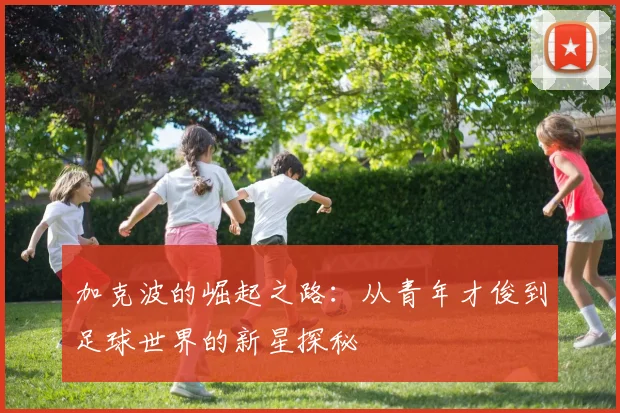 加克波的崛起之路：从青年才俊到足球世界的新星探秘