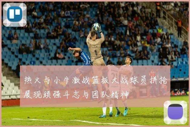热火与小牛激战篮板大战球员拼抢展现顽强斗志与团队精神
