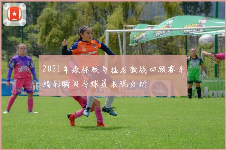 2021年森林狼与猛龙激战回顾赛季精彩瞬间与球员表现分析