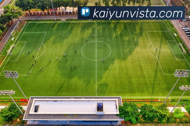 开云体育服务体系